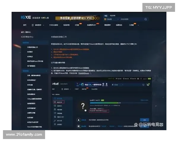 如何选择最安全可靠的俄罗斯CSGO皮肤交易平台并避免风险 如何选择最安全可靠的俄罗斯CSGO皮肤交易平台并避免风险